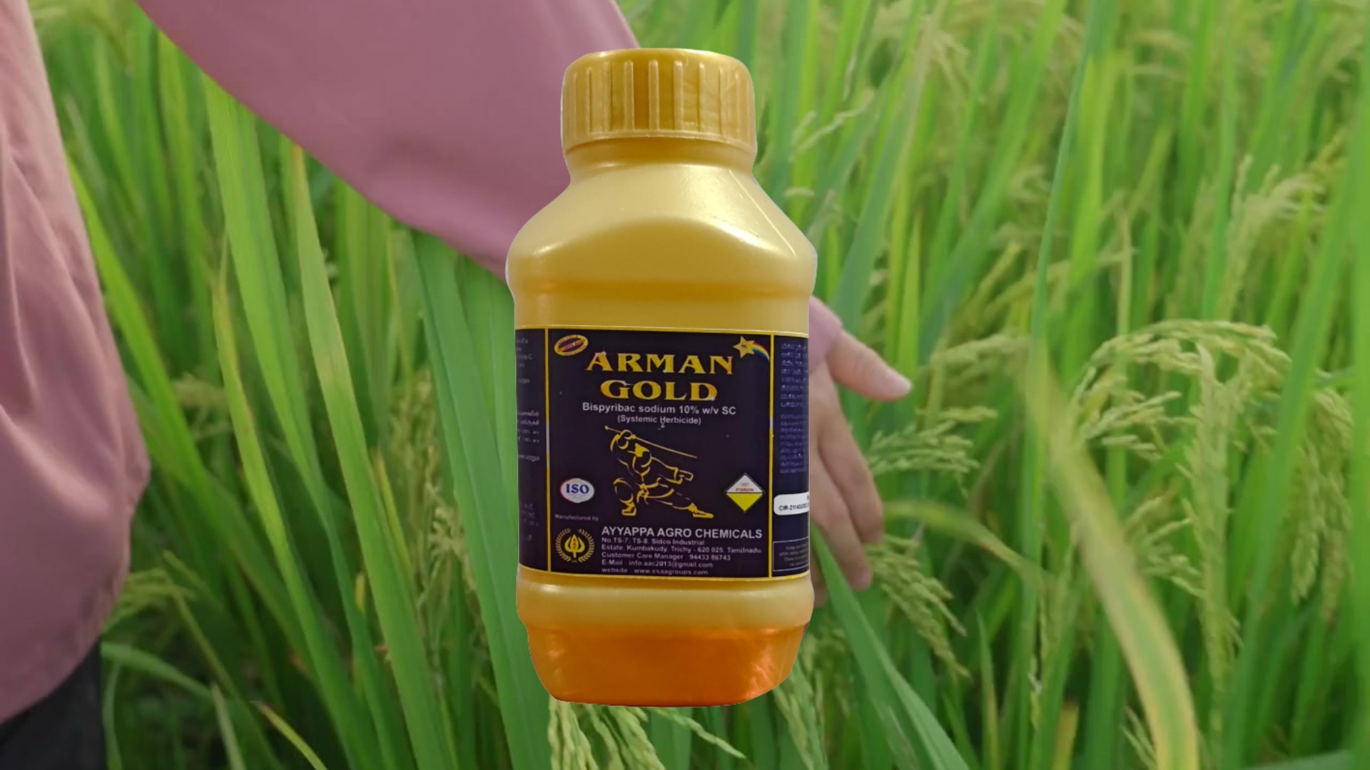 Arman Gold